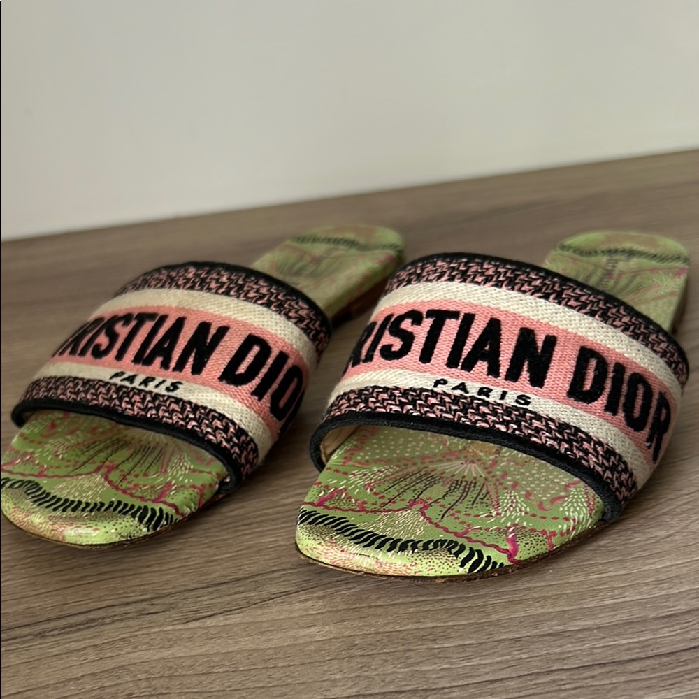 Christian Dior Pink and Green Slides